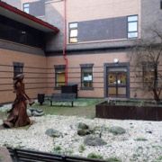 Morriston Hospital garden - before.jpg