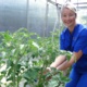 Lisa Davies in the greenhouse