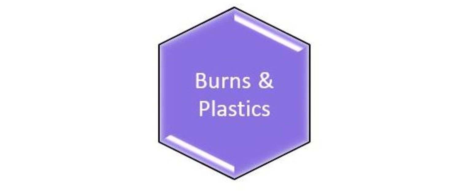 Burns and Plastic Surgery Swansea Bay University Health Board