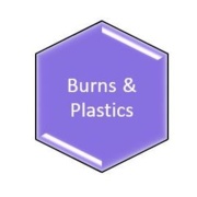 Burns & Plastics.JPG