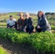 Image shows four people crouching behind some crops