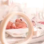 Prem baby incubator