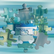 vaccine puzzle
