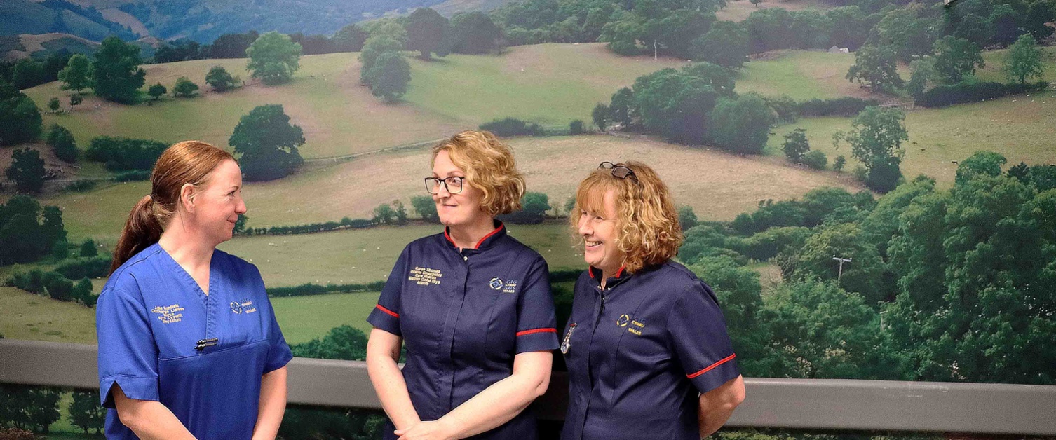 Three nurses stand in front of the large countryside scene spread across the wall behind them.