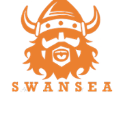 Swansea Vikings logo.png