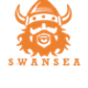 Swansea Vikings logo