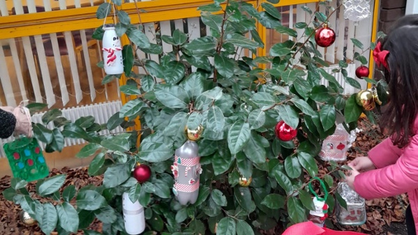 A bush covered in Christmas decorations.