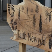 Taith Newydd