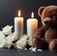 a picture of a teddy bear