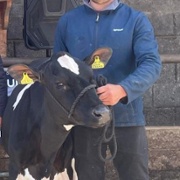 Emyr Bowen and calf cropped.jpg