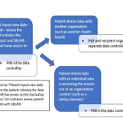 Data input or shared with SBUHB by the patient - image 4.jpg
