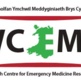 Welsh Centre for Emergency Medical Research logo