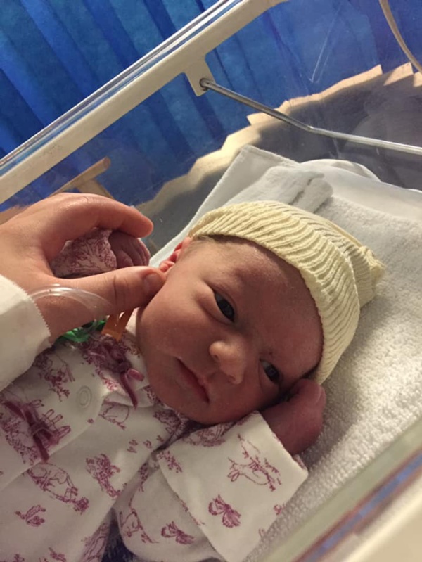 Image shows baby in hospital cot and parent holding hand.