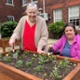 Image shows two women in front of a raised flower bed