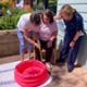 Dementia Action Week