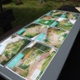 Artist impressions of a garden and playground