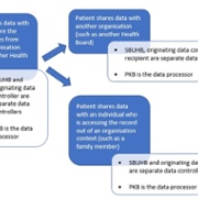 Data input or shared with SBUHB by the patient - image 5.jpg