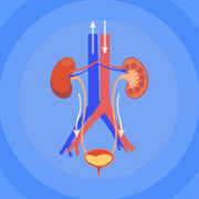 Caring for your Kidneys Carousel_Master.png