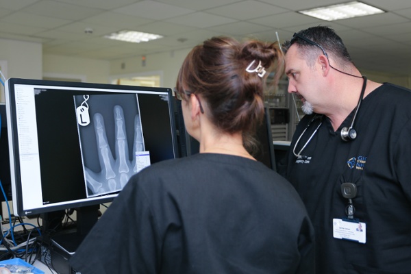 Staff examining an x-ray on a computer screen