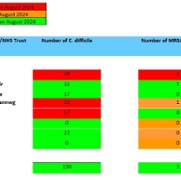 SB monthly MRSA and C.Diff Sept 2024.jpg