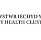 A logo for the City Health Cluster