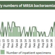 MRSA Monthly Graph July 2019