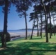 An image of some trees with Mumbles in the background