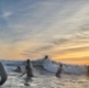Image shows people entering the sea