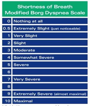 The BORG scale shows how much effort your breathing is from 0 to 10.