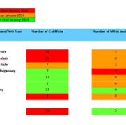 Monthly C.Diff and MRSA Figures March 2024.PNG