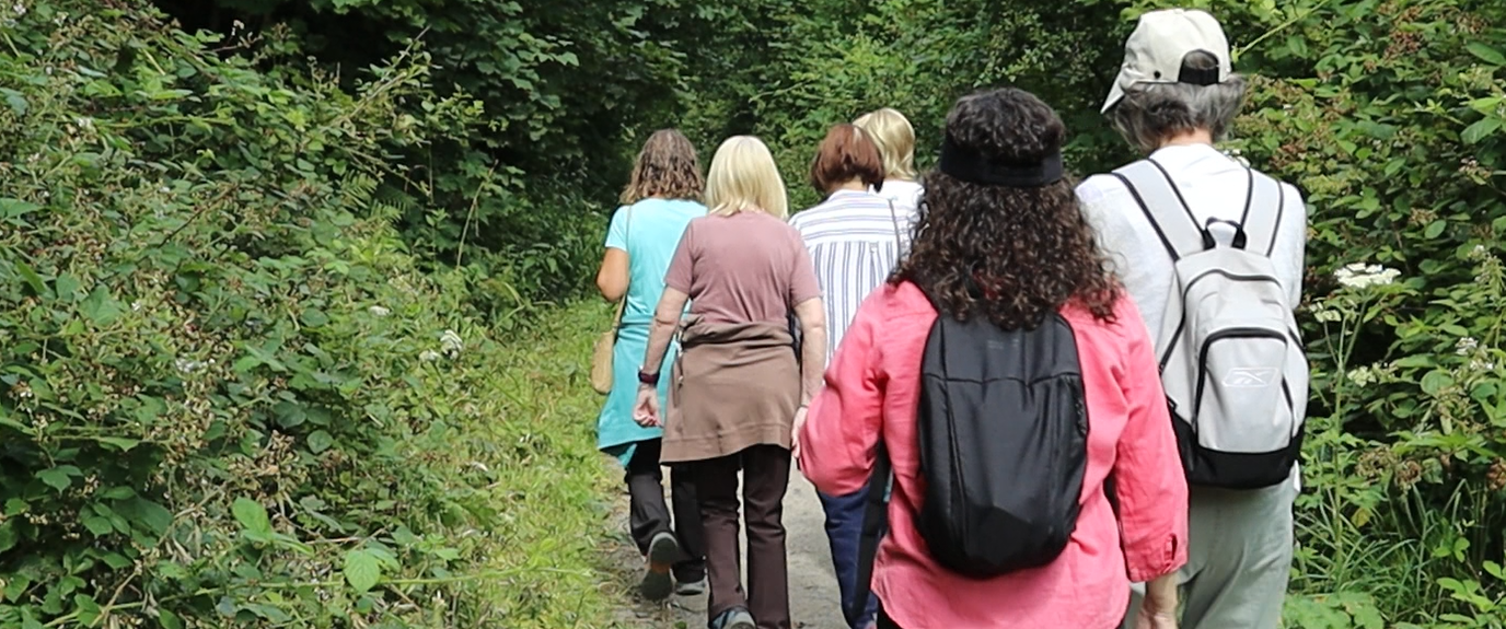 active autumn walking group