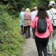 active autumn walking group