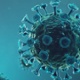 an image of a coronavirus