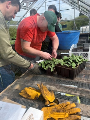 Image shows a man potting plants in a greenhouse