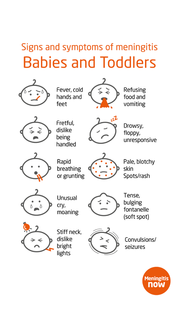 An image showing signs and symptoms of meningitis in babies and toddles published by Meningitis Now.