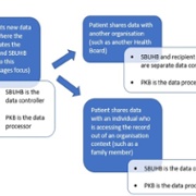Data input or shared with SBUHB by the patient - image 3.jpg