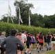 Parkrun