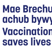 Vaccination saves lives logo