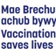 Vaccination saves lives logo showing a heart and shield illustration.