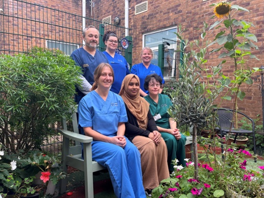 Image shows a group of people in a garden