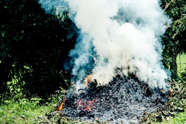 Image shows a garden bonfire producing lots of smoke.