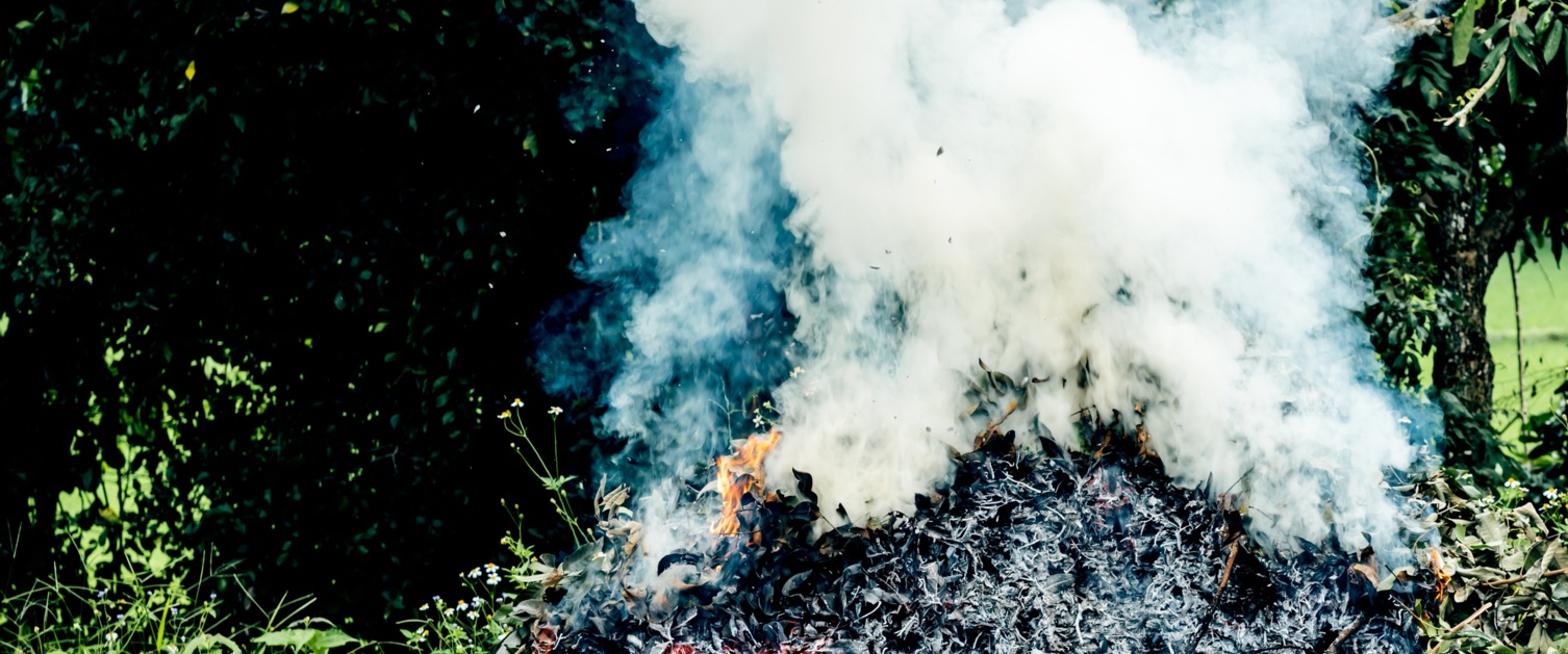 Image shows a garden bonfire producing lots of smoke.