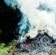 Image shows a garden bonfire producing lots of smoke.