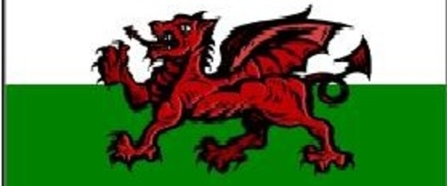An image of the Welsh Dragon flag