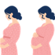 images of pregnancy over time