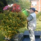 A man watering plants.