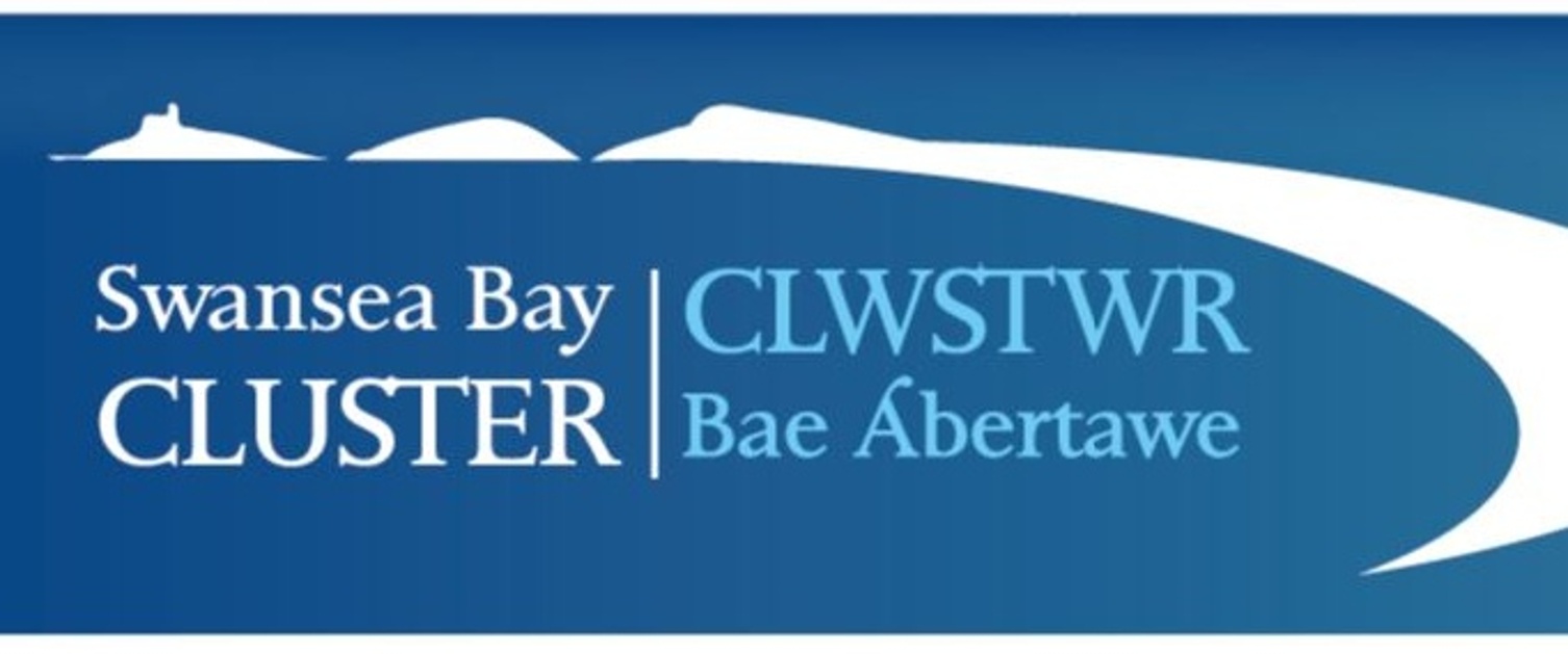 Bay Health Cluster logo