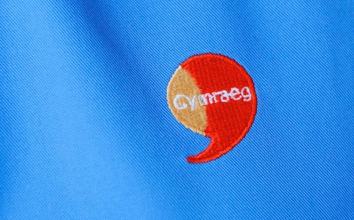 Logo used to show people speak Welsh