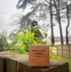 Image shows an award in front of a tree
