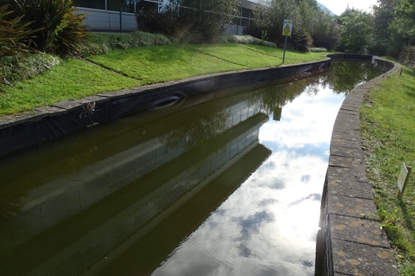 HQ pond without grass islands